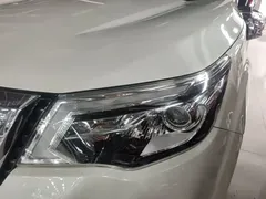 2020 Nissan Terra 2.5L XV 4WD, белый — фото 24