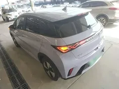 2023 BYD Dolphin 420km Fashion — фото 5