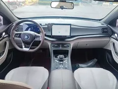 2023 BYD Qin PLUS DM-i 55KM — фото 10