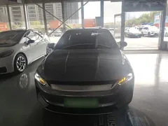 2021 BYD Qin PLUS EV 500km Premium — фото 3
