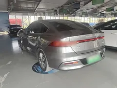 2021 BYD Qin PLUS EV 500km Premium — фото 5