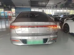2021 BYD Qin PLUS EV 500km Premium — фото 6