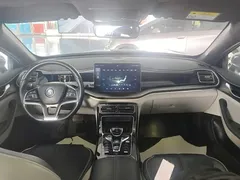 2021 BYD Qin PLUS EV 500km Premium — фото 10
