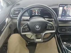 2021 BYD Qin PLUS EV 500km Premium — фото 11