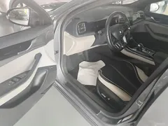 2021 BYD Qin PLUS EV 500km Premium — фото 16