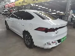 2024 BYD Qin PLUS DM-i 55KM, белый — фото 5