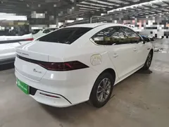 2024 BYD Qin PLUS DM-i 55KM, белый — фото 7