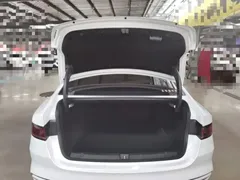 2024 BYD Qin PLUS DM-i 55KM, белый — фото 19