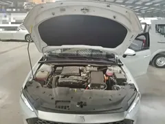 2024 BYD Qin PLUS DM-i 55KM, белый — фото 20