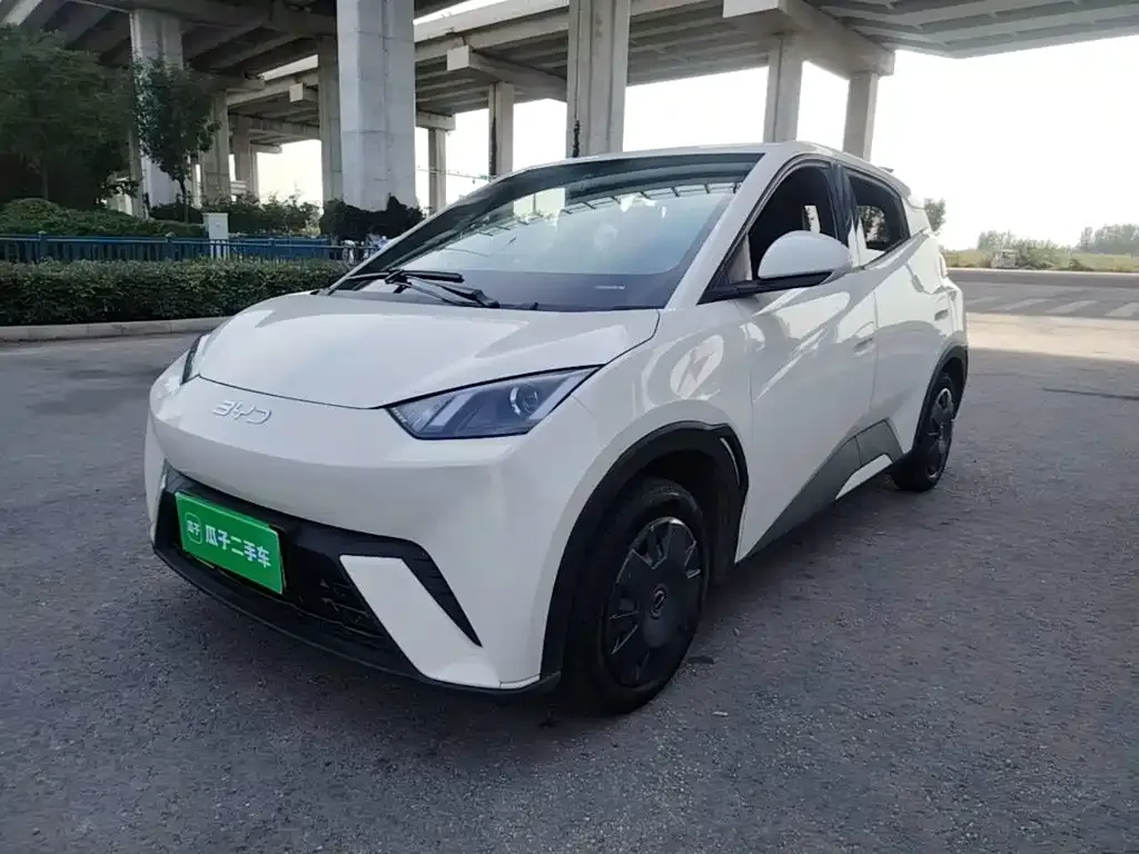 2025 BYD Seagull 305km Vitality