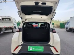2025 BYD Seagull 305km Vitality, белый — фото 19