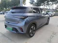 2021 BYD Dolphin EV 405km Freedom, синий — фото 7