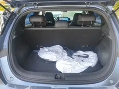 2021 BYD Dolphin EV 405km Freedom, синий — фото 19