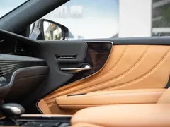 2021 Lexus LS 500h, чёрный — фото 20