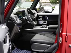 2021 Mercedes-Benz G-Class G 500 Special Edition — фото 11