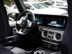 2021 Mercedes-Benz G-Class G 500 Special Edition — фото 13