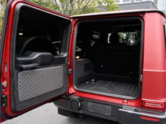 2021 Mercedes-Benz G-Class G 500 Special Edition — фото 19