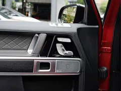 2021 Mercedes-Benz G-Class G 500 Special Edition — фото 20