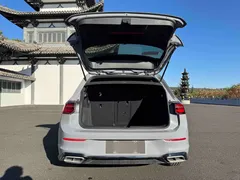 2023 Volkswagen Golf 280TSI DSG R-Line Lite — фото 21