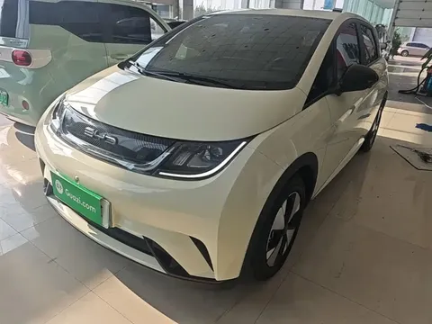 2023 BYD Dolphin 420km Freedom