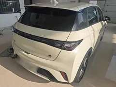 2023 BYD Dolphin 420km Freedom, белый — фото 7