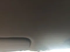 2023 BYD Dolphin 420km Freedom, белый — фото 18