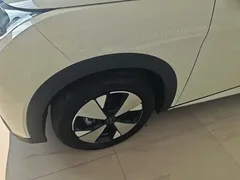 2023 BYD Dolphin 420km Freedom, белый — фото 23