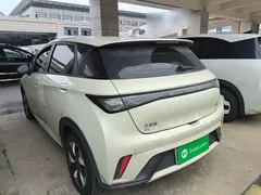2025 BYD Dolphin 420km Freedom — фото 5