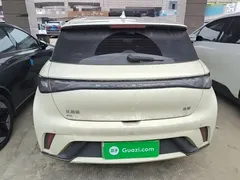 2025 BYD Dolphin 420km Freedom — фото 6