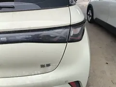 2025 BYD Dolphin 420km Freedom — фото 8