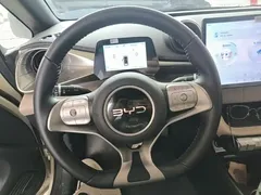 2025 BYD Dolphin 420km Freedom — фото 11