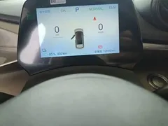 2025 BYD Dolphin 420km Freedom — фото 12