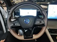 2024 BYD Song Pro DM-i 110KM, белый — фото 11