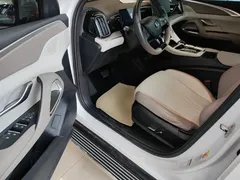 2024 BYD Song Pro DM-i 110KM, белый — фото 16