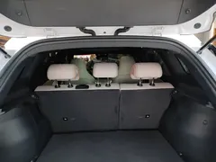 2024 BYD Song Pro DM-i 110KM, белый — фото 19