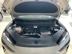 2025 BYD DM-i 205 Plus — фото 14