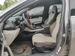 2024 BYD Qin PLUS Honor EV 510km Leading — фото 15