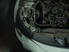 2023 Toyota Levin TNGA 1.5L CVT, белый — фото 20
