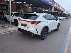 2023 Lexus NX 400h, белый — фото 16