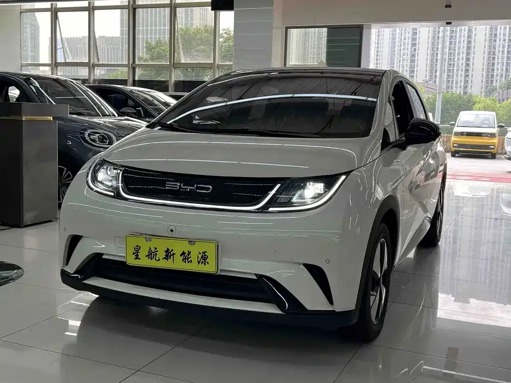 2023 BYD Dolphin 420km Fashion