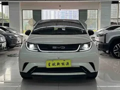 2023 BYD Dolphin 420km Fashion — фото 2