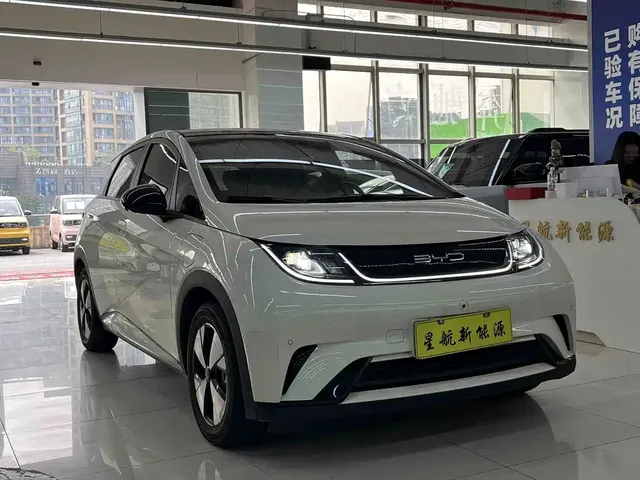 2023 BYD Dolphin 420km Fashion