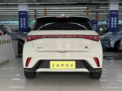 2023 BYD Dolphin 420km Fashion — фото 4