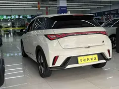 2023 BYD Dolphin 420km Fashion — фото 5