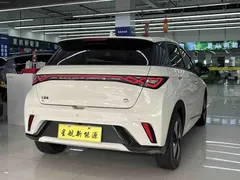 2023 BYD Dolphin 420km Fashion — фото 6