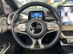 2023 BYD Dolphin 420km Fashion — фото 13
