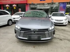 2024 BYD Destroyer 05 DM-i 55KM — фото 3