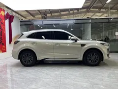 2023 Hongqi HS5 2.0T Pro — фото 3
