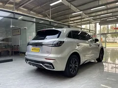2023 Hongqi HS5 2.0T Pro — фото 5