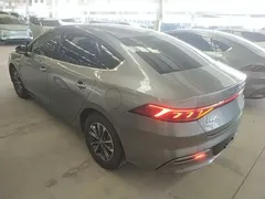 2024 BYD Qin PLUS DM-i 55KM — фото 5